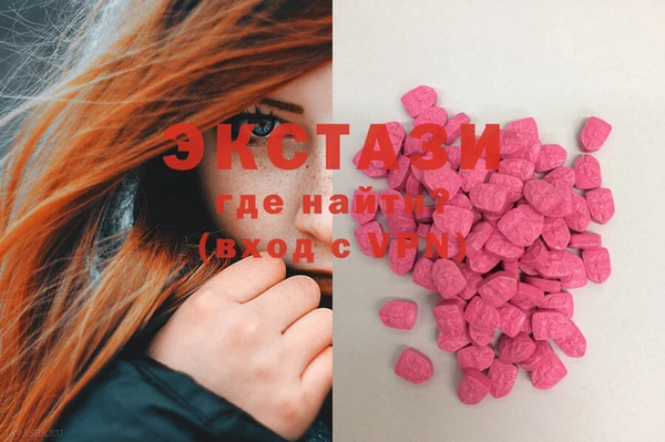 ECSTASY Бородино